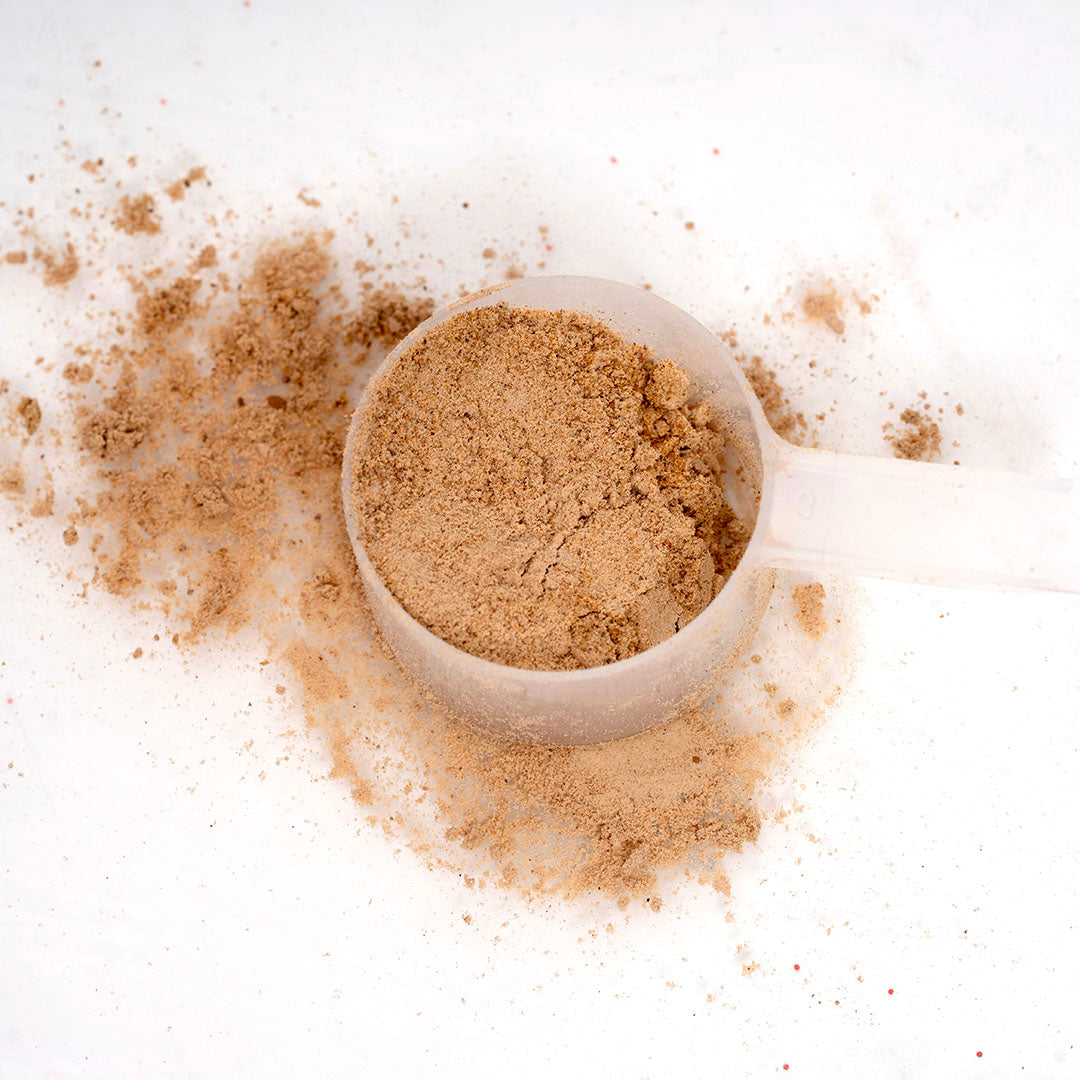 Protein Powder For Glutes | Protein Powder | TheFitFineFlawless